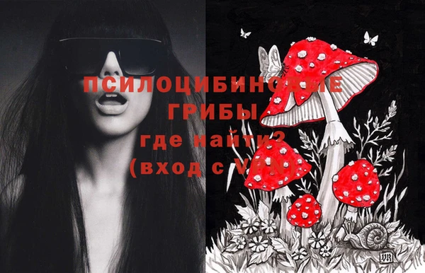 герыч Алзамай
