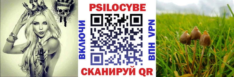 Псилоцибиновые грибы Cubensis  наркошоп  Лодейное Поле 